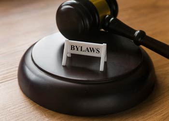 SSCI Bylaws Ammendment