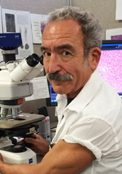 Vladimir Michael Subbotin, MD, PhD